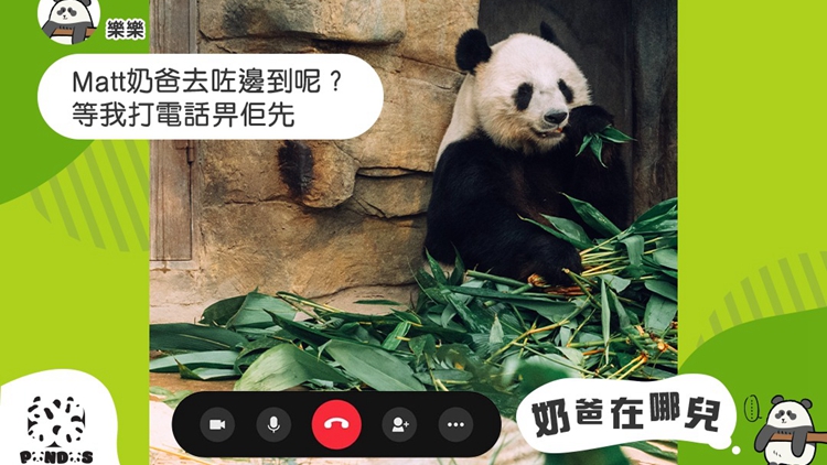 樂樂奶爸Matt早於7月赴四川照顧新來港大熊貓 教牠們改吃廣州竹