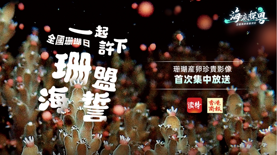 直播｜全國珊瑚日，一起許下「珊」盟海誓！