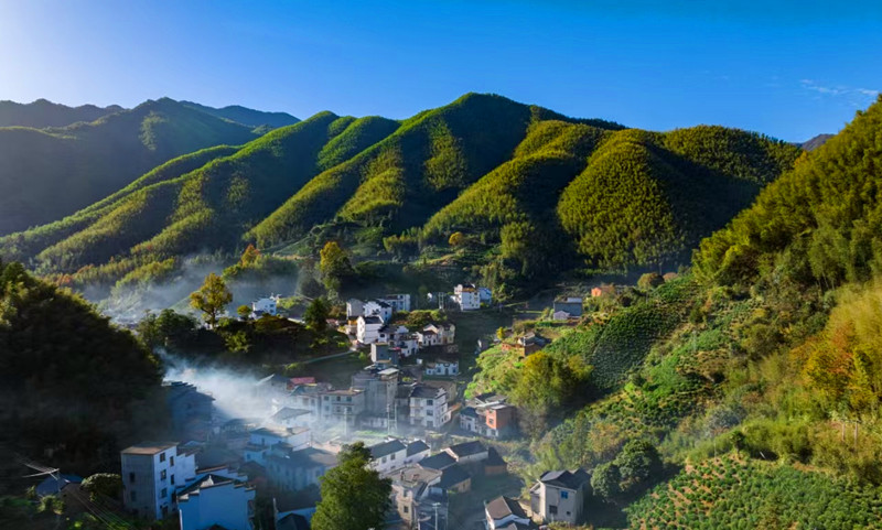 【康養(yǎng)中國(guó)】「竹園+康養(yǎng)+文旅」  皖歙縣提亮「康氧竹嶺」品牌