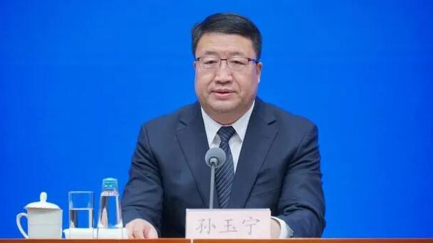 海關(guān)總署黨委委員、副署長(zhǎng)孫玉寧接受審查調(diào)查