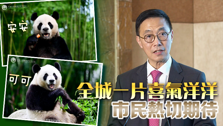 大熊貓「安安」「可可」26日抵港 楊潤(rùn)雄：香港已準(zhǔn)備就緒 會(huì)照顧好牠們