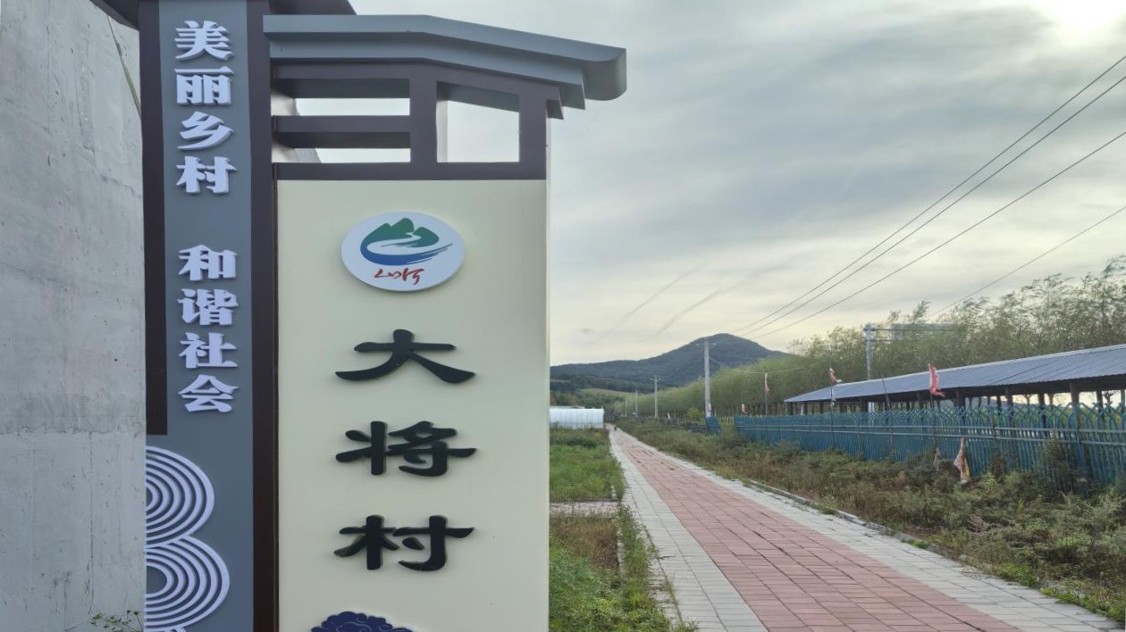 長(zhǎng)春市雙陽(yáng)區(qū)大將村：強(qiáng)隊(duì)伍 促發(fā)展 提效能  奏響鄉(xiāng)村振興新樂(lè)章