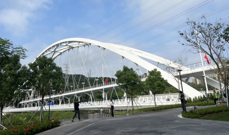 連接生態(tài)美景 增進民生福祉 深圳羅湖區(qū)大望橋新橋正式通車