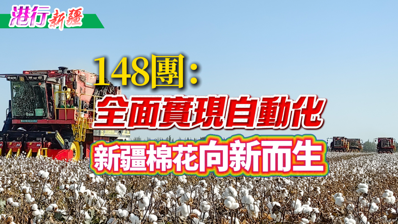 有片丨【港行新疆】148團(tuán)：全面實(shí)現(xiàn)自動(dòng)化 新疆棉花向新而生