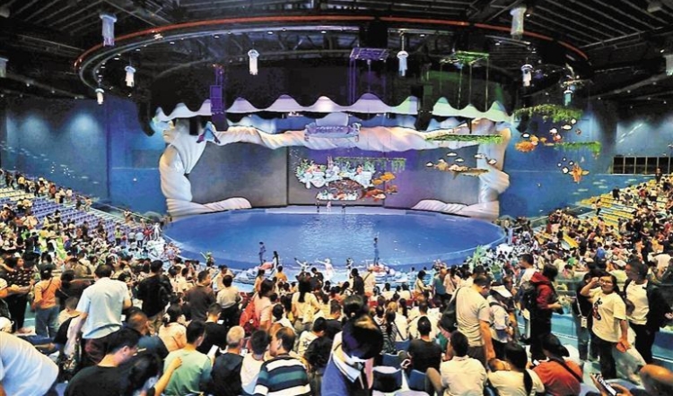 小梅沙海洋世界今日試營業(yè)