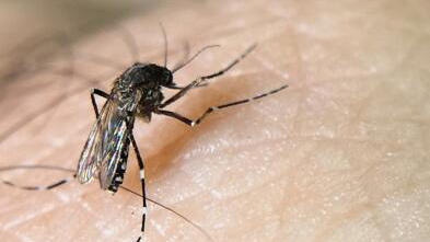 警惕！深圳新增120例！29個社區(qū)有傳播風險