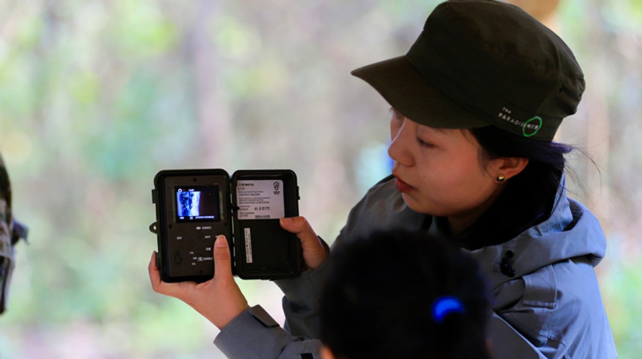 皖黃山區(qū)九龍峰自然保護(hù)區(qū)：生態(tài)研學(xué) 別開生面