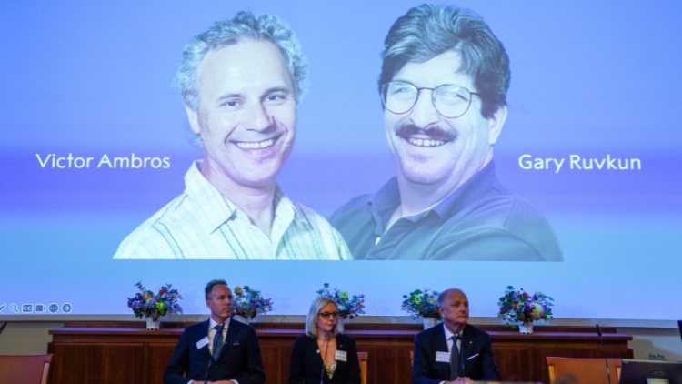 突破性發(fā)現(xiàn)microRNA 解答基因調(diào)控機(jī)制 兩美國科學(xué)家獲諾貝爾醫(yī)學(xué)獎(jiǎng)