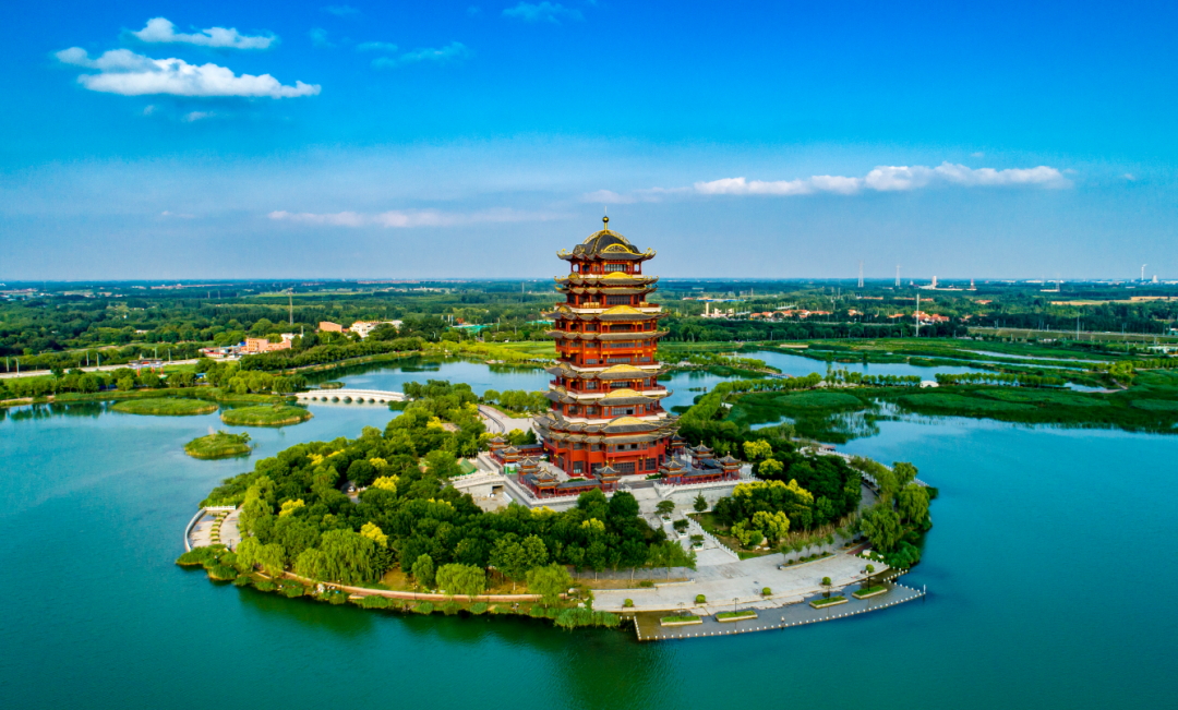 山東濱州：「在知愛建」，一場400萬+的熱烈奔赴