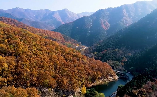 【視聽(tīng)山東】城市之秋