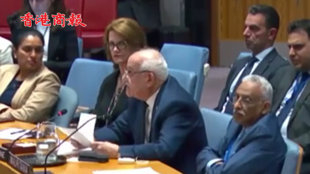 有片丨巴勒斯坦代表質(zhì)問安理會：你們已經(jīng)習慣於我們的死亡嗎？