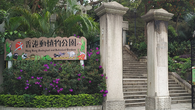 香港動植物公園8隻猴子同日死亡 14日起暫停開放園內(nèi)哺乳類動物區(qū)