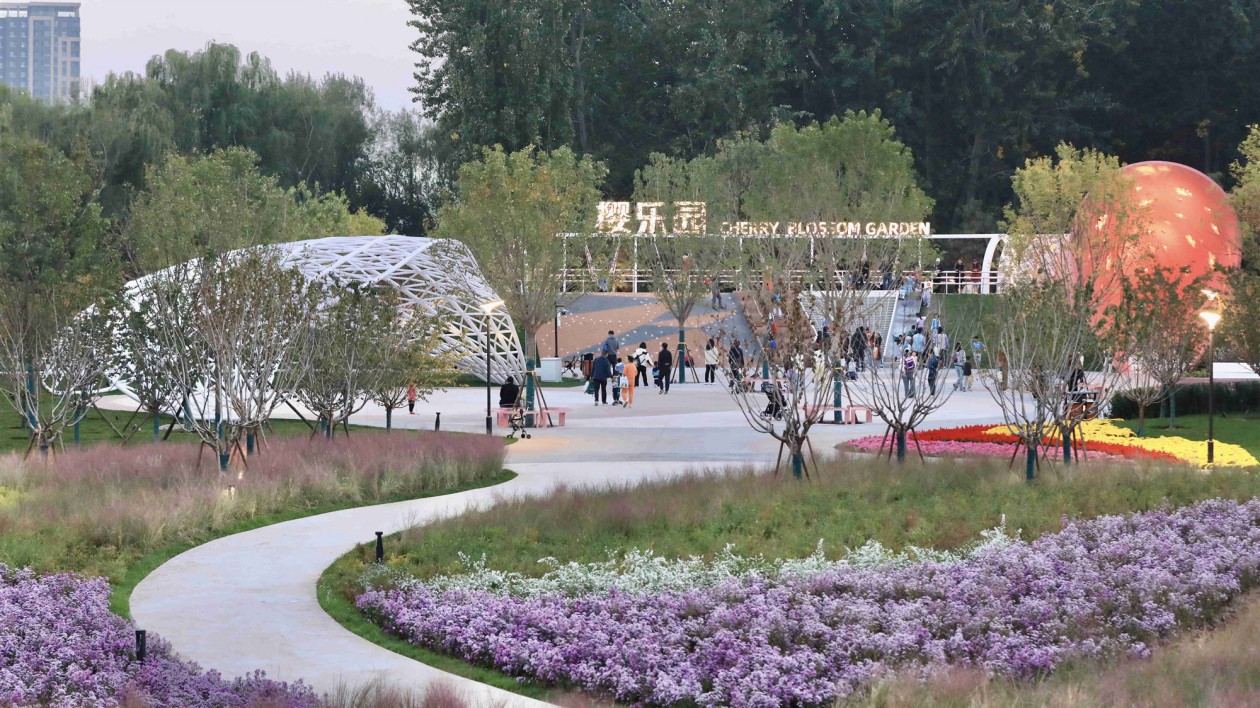 北京首個(gè)以櫻花為主題的無(wú)動(dòng)力樂(lè)園完工  明年春天可賞櫻