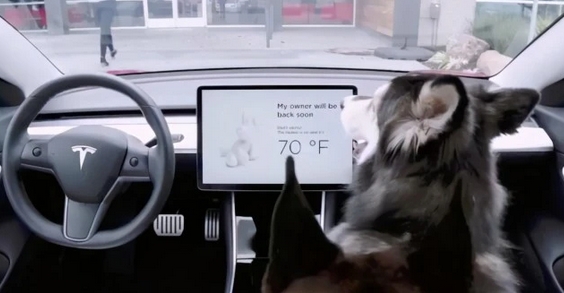 官方通報(bào)有境外企業(yè)以汽車智駕為由非法測(cè)繪！特斯拉、極氪、Mobileye、四維圖新連夜回應(yīng)