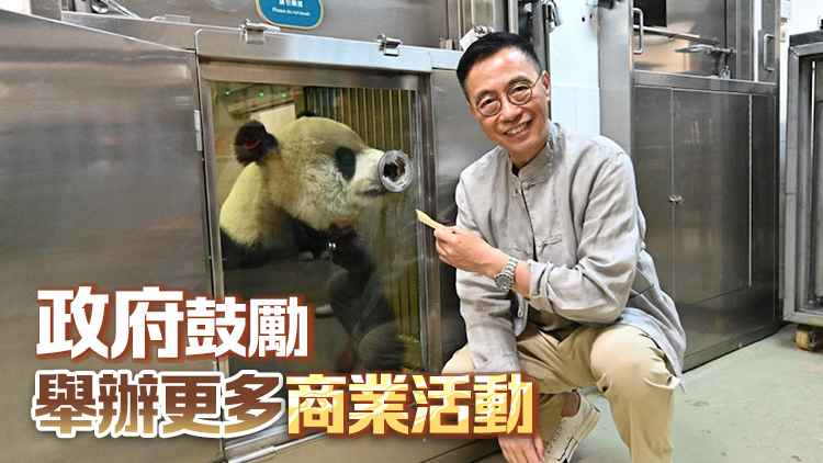 全城掀大熊貓熱潮 楊潤雄：冀帶動(dòng)本港經(jīng)濟(jì)