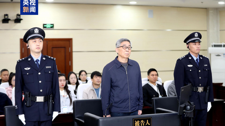 獲刑十二年！國(guó)家開(kāi)發(fā)銀行原副行長(zhǎng)王用生受賄案一審宣判