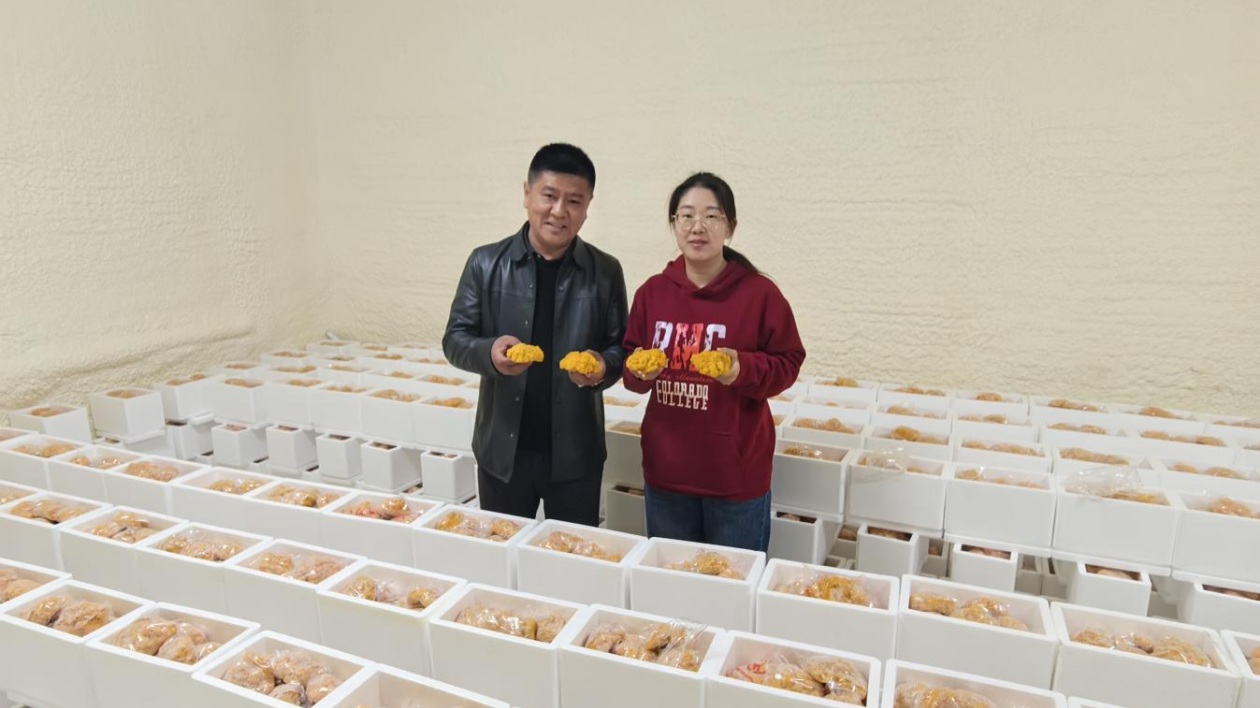 吉林省長春市雙陽區(qū)山河街道大將村：聯(lián)村共建  種出集體經(jīng)濟(jì)好「錢」途