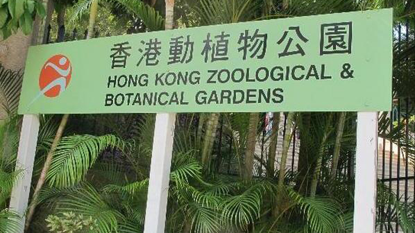 康文署：香港動(dòng)植物公園再多一隻白臀長(zhǎng)尾猴死亡