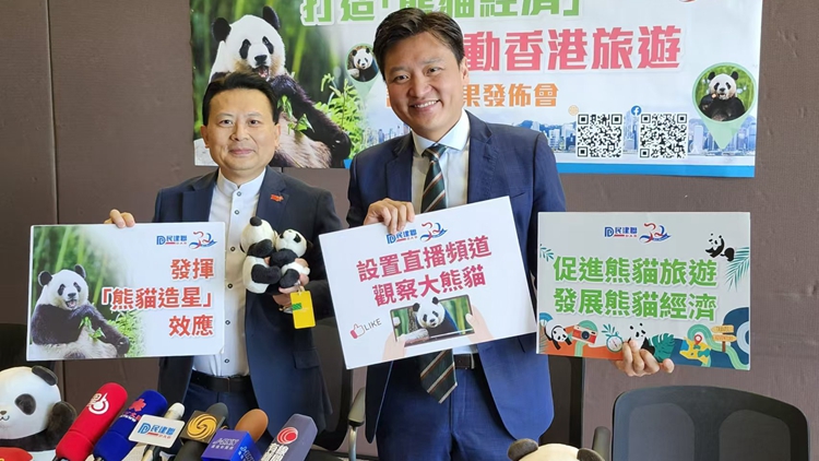 六成受訪者對(duì)港誕生大熊貓龍鳳胎感開(kāi)心 民建聯(lián)倡政府發(fā)揮「造星」效應(yīng)