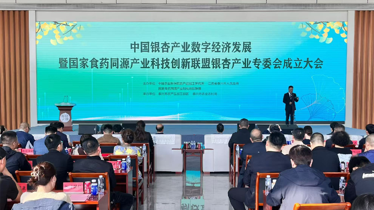 江蘇泰興：布局多元化發(fā)展 打造銀杏產業(yè)新高地