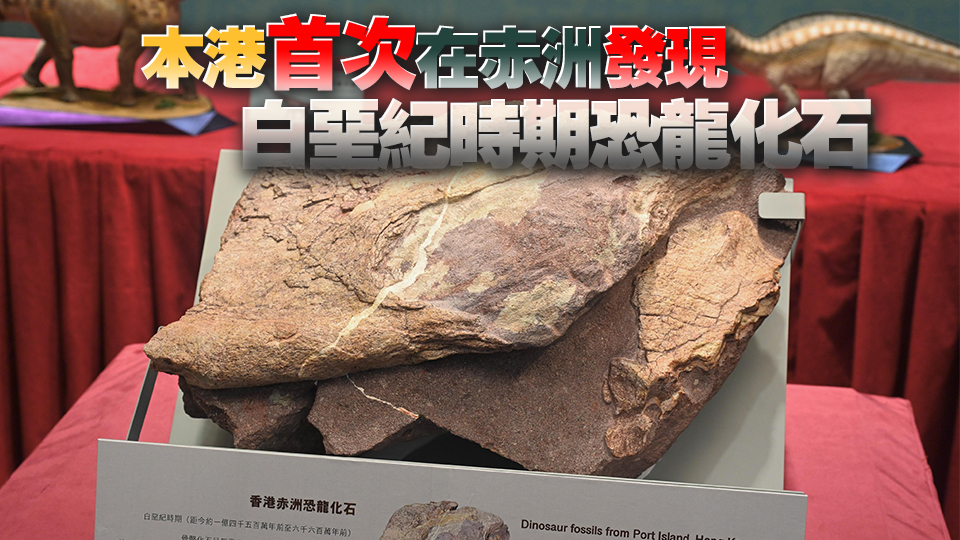 專家料西貢荔枝莊及大埔八仙嶺都有機(jī)會(huì)找到恐龍化石