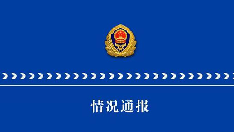 深中通道深中大橋一貨車起火 無(wú)人員傷亡 正有序恢復(fù)交通