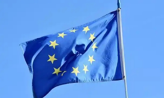 中國已就歐盟對(duì)華電動(dòng)汽車反補(bǔ)貼調(diào)查終裁結(jié)果提出訴訟 