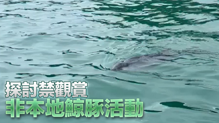 漁護(hù)署：政府?dāng)M發(fā)現(xiàn)非本地棲息鯨魚(yú) 或?qū)澏ā概R時(shí)海洋限制區(qū)」