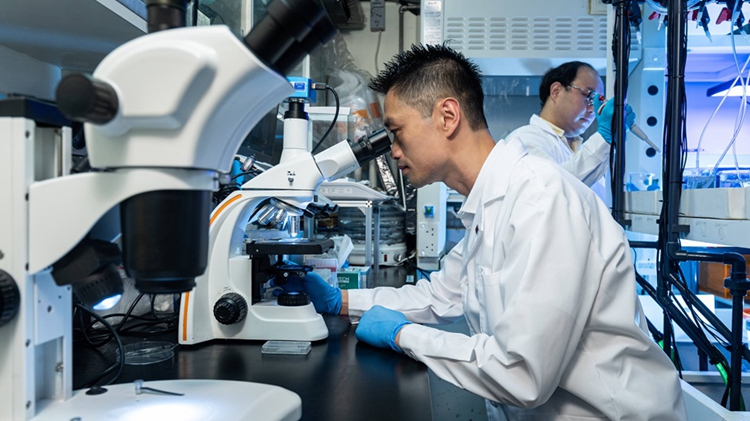 理大學(xué)者監(jiān)測(cè)海洋食品微塑膠 開(kāi)拓可持續(xù)海洋食品和保育研究