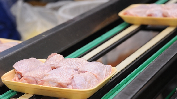 本港暫停進(jìn)口日本島根縣禽肉及禽類產(chǎn)品