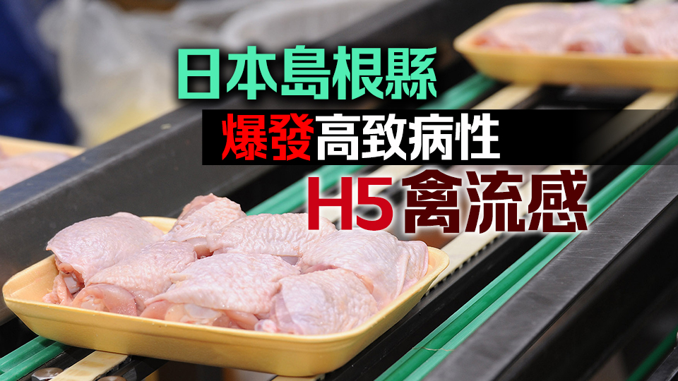 本港暫停進口日本島根縣禽肉及禽類產(chǎn)品