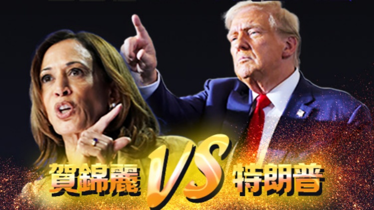 一圖看懂 | 2024年美國大選：白宮之爭，誰將勝出？