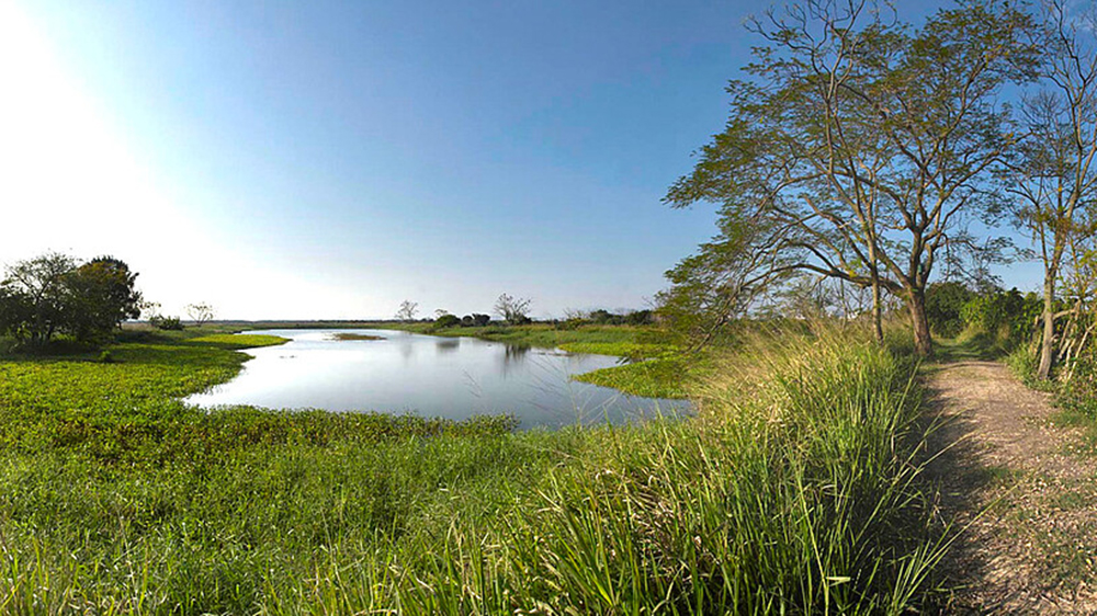 米埔自然護(hù)理區(qū)有環(huán)境樣本驗(yàn)出H5N1 附近3公里無(wú)雞場(chǎng)