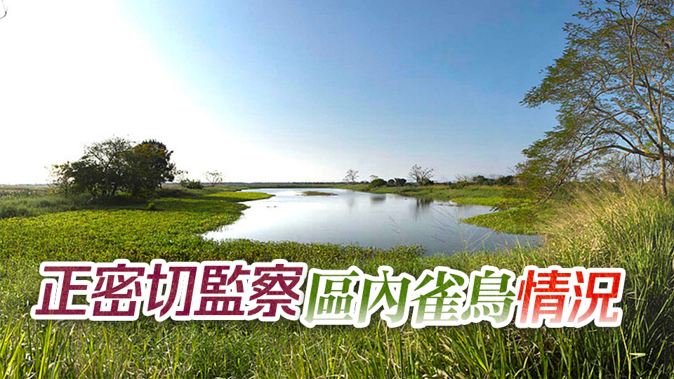 米埔自然護(hù)理區(qū)有環(huán)境樣本驗(yàn)出H5N1 附近3公里無雞場