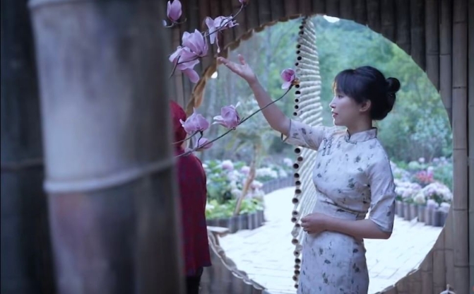 刷屏外網(wǎng)！李子柒回歸，海外粉絲沸騰了……