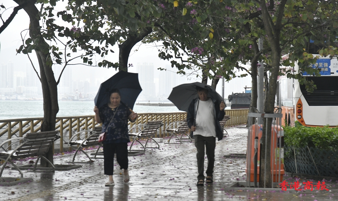 多圖丨八號(hào)風(fēng)球下的海旁