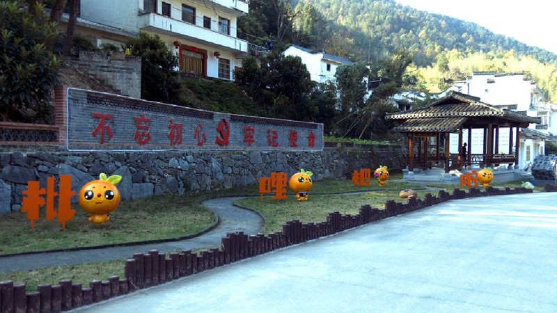 皖歙縣深渡鎮(zhèn)大茂社區(qū)：甜蜜枇杷潤鄉(xiāng)土 和美鄉(xiāng)村展新姿