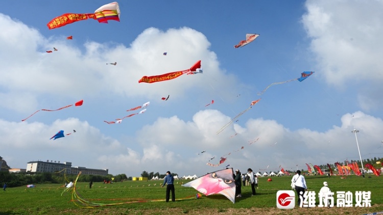 有才你就來(lái)！濰坊風(fēng)箏標(biāo)識(shí)設(shè)計(jì)大賽開(kāi)始了