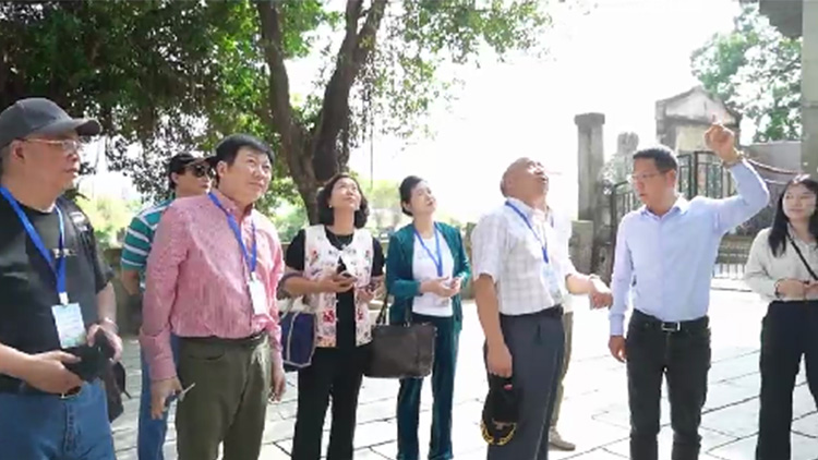 有片｜僑界文藝工作者共赴「百千萬(wàn)工程」採(cǎi)風(fēng)之旅 開啟文化賦能新篇章