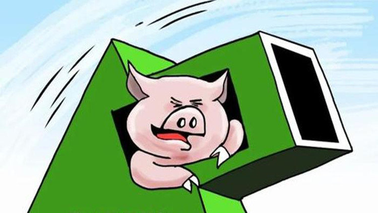 降價！降價！接下來，豬肉價格怎麼走？