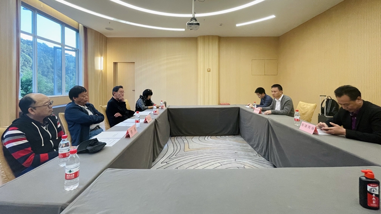 「大鵬文旅高質(zhì)量發(fā)展」主題座談會22日成功舉辦