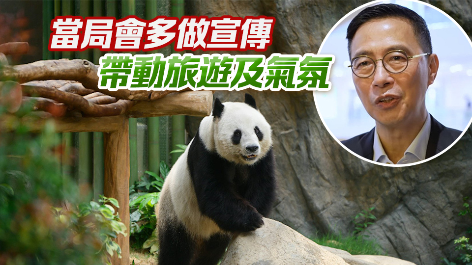 楊潤雄：中央贈港大熊貓下月或與公眾見面