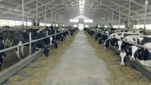 美國生牛奶樣本中發(fā)現(xiàn)禽流感病毒 當(dāng)局向消費(fèi)者發(fā)出警告