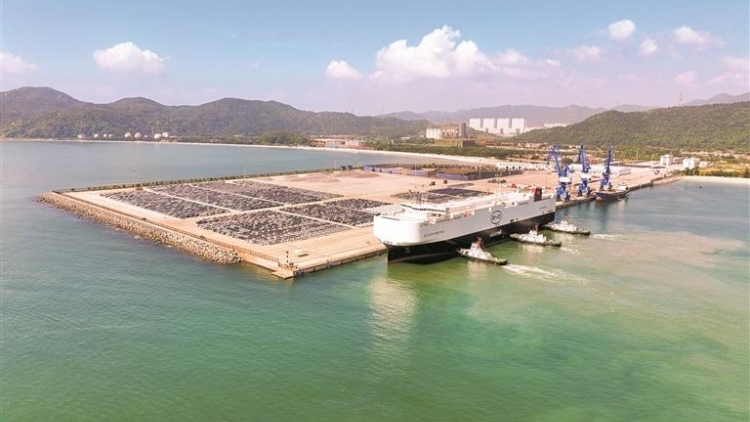 估深圳新能源汽車今年產(chǎn)量超260萬輛