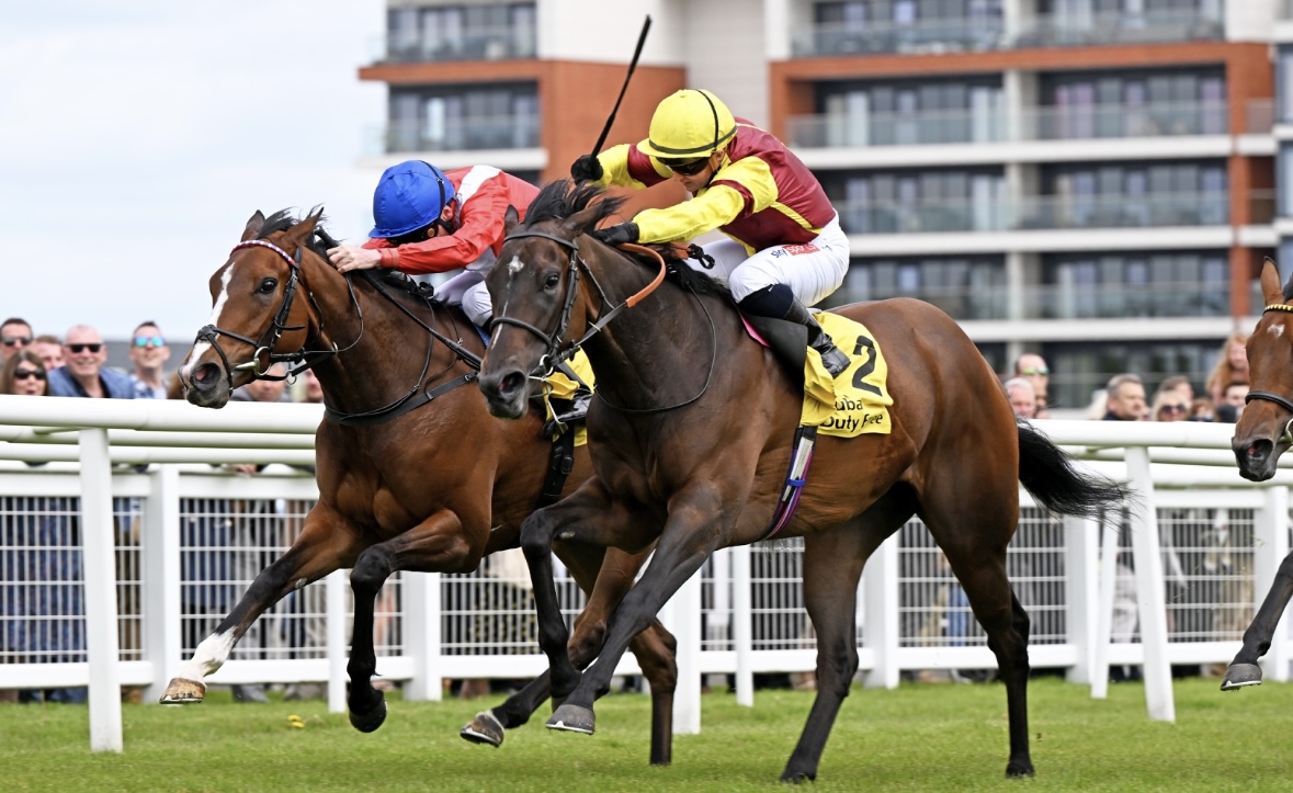 國(guó)際騎師錦標(biāo)賽前瞻 用表現(xiàn)證明女騎師毫不遜色 杜苑欣：賽馬運(yùn)動(dòng)不分性別