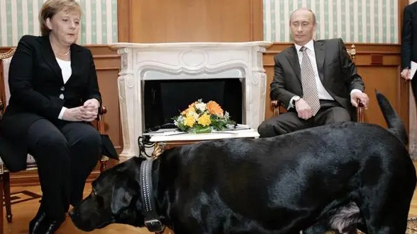 外媒：普京否認(rèn)曾帶愛犬「嚇唬」默克爾 並公開道歉稱不知道「她害怕狗」