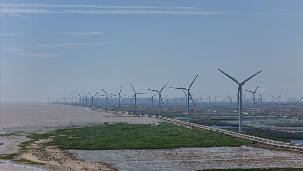 江蘇啟東：向「下一個(gè)千億」奮楫前行