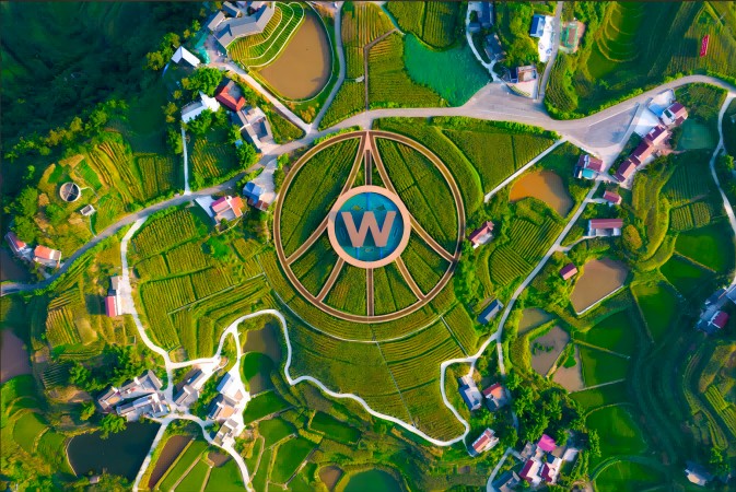 「糧豐美、傳千年、濃無敵」 五糧液攜手文化大家打造川酒文化新IP