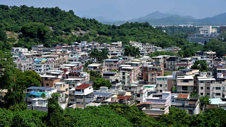 鄉(xiāng)郊補(bǔ)選5空缺投票結(jié)果出爐 28名候選人自動當(dāng)選