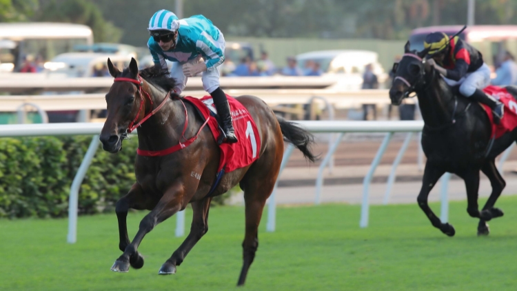 國際賽日4場G1總獎金達1.26億再創(chuàng)新高 港隊主場出擊衝擊佳績